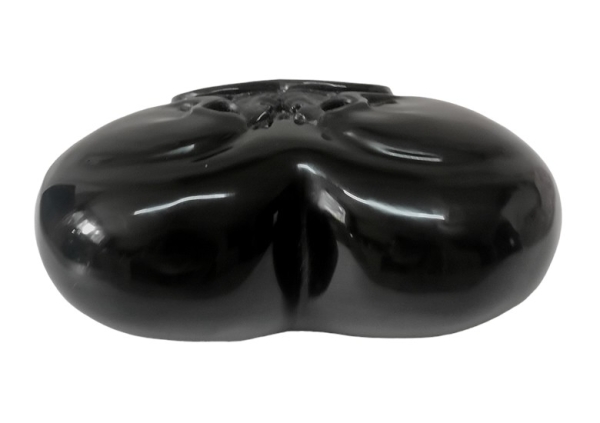 Rainbow Obsidian Skull Herz